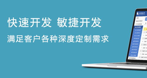 企業信息化管理軟件定制開發